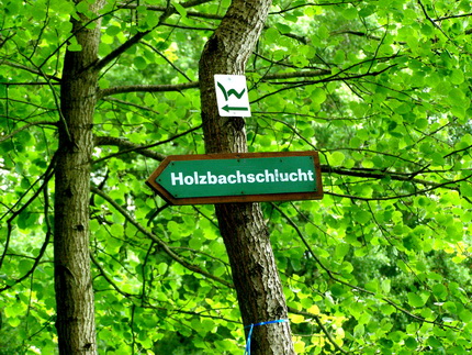 Holzbachschlucht