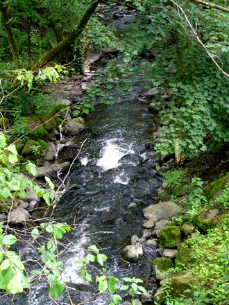 Holzbachschlucht