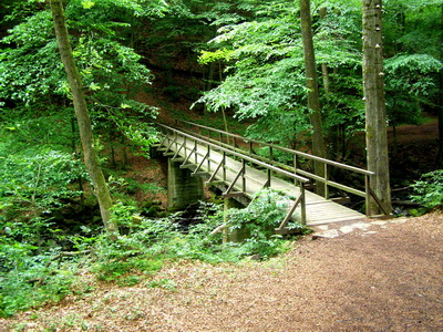 Holzbachschlucht