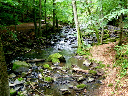 Holzbachschlucht