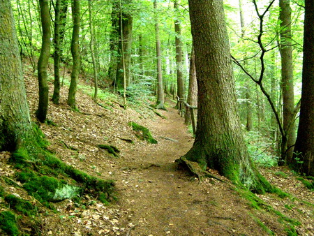 Holzbachschlucht