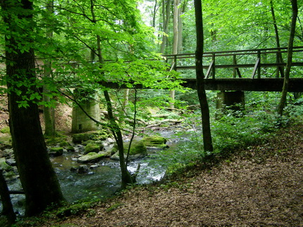 Holzbachschlucht