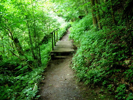 Holzbachschlucht