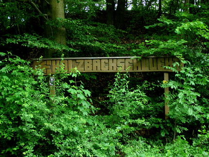 Holzbachschlucht